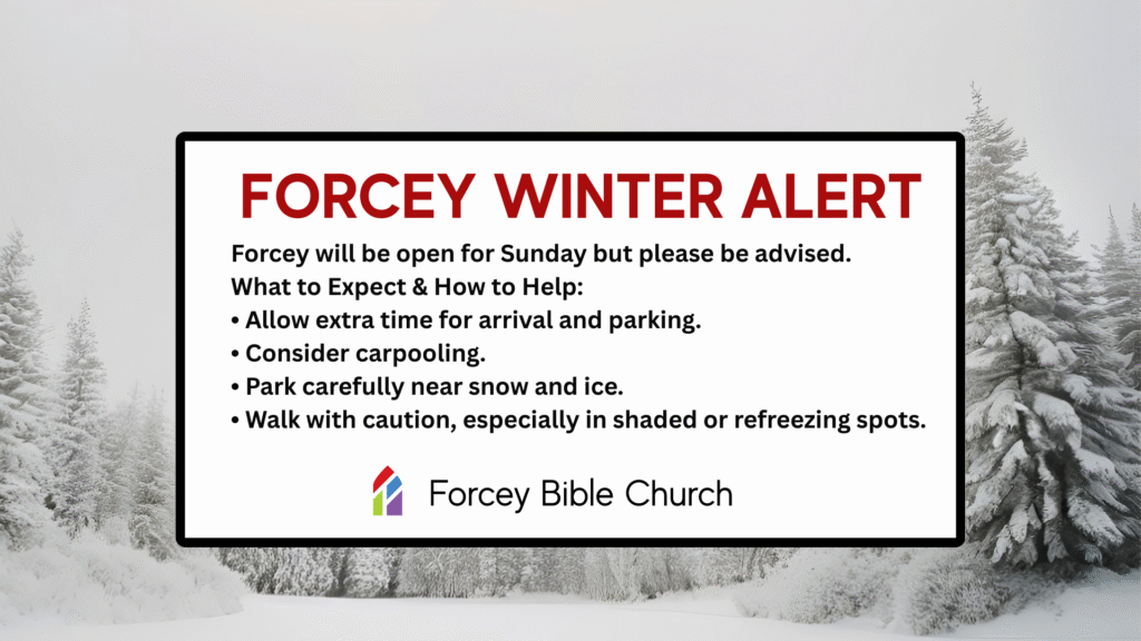 Forcey Winter Alert (2)