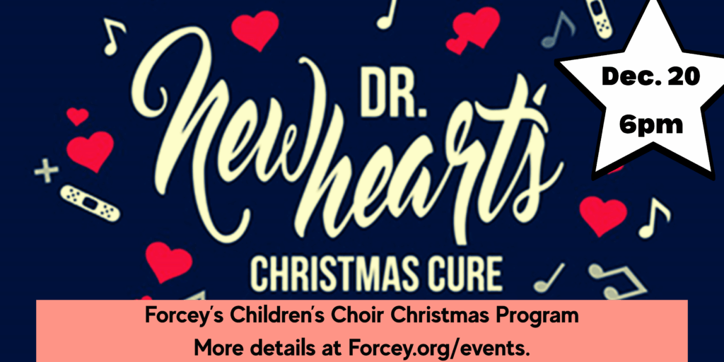 OperationChristmasChildShoeboxes (5)