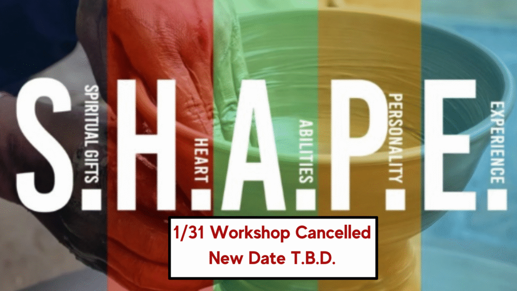 Shape Workshop update