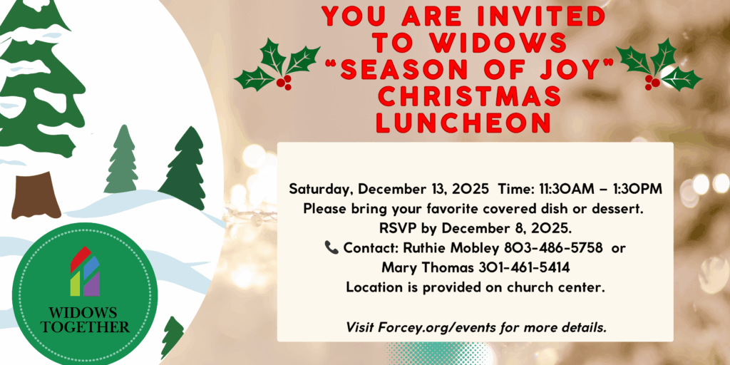 Widows Season of Joy